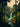 Coorg Waterfall 3 01 MJ SC2